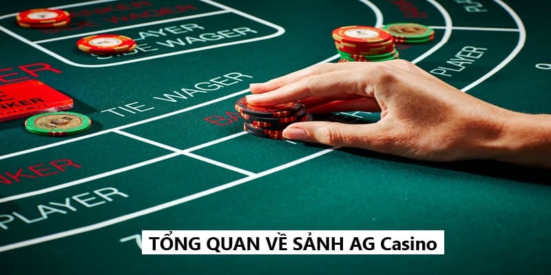 Các thông tin cần biết về sảnh AG Casino