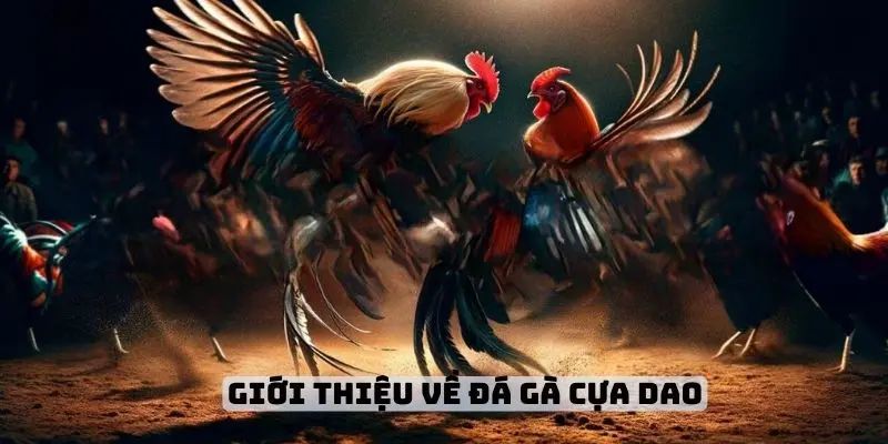 Chiến thuật dự đoán từ chuyên gia